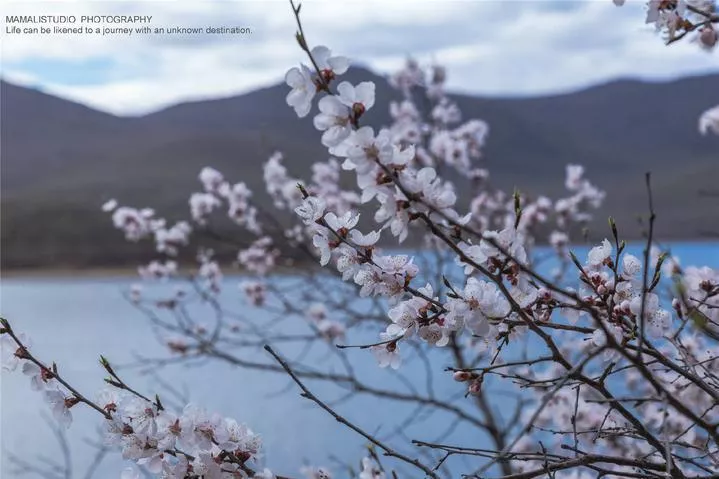 鏡泊湖旅游攻略 鏡泊湖旅游住宿指南