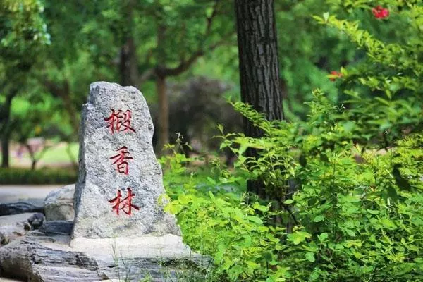 北京香山公園一日游最佳路線推薦