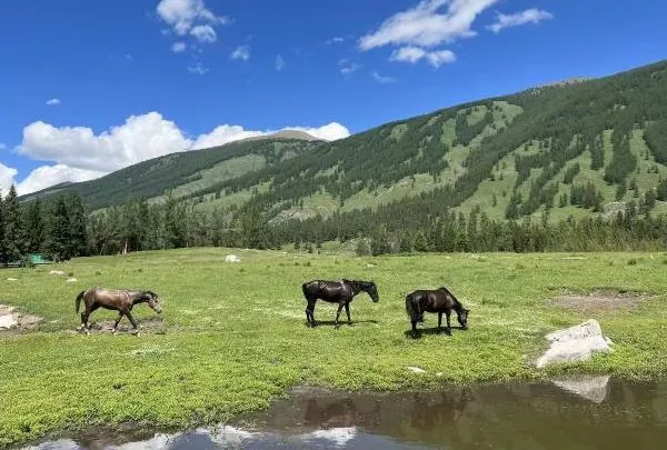 沉香如屑在哪里拍攝-取景地介紹