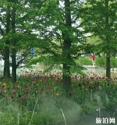 北京國(guó)際鮮花港游玩攻略 鮮花港游記