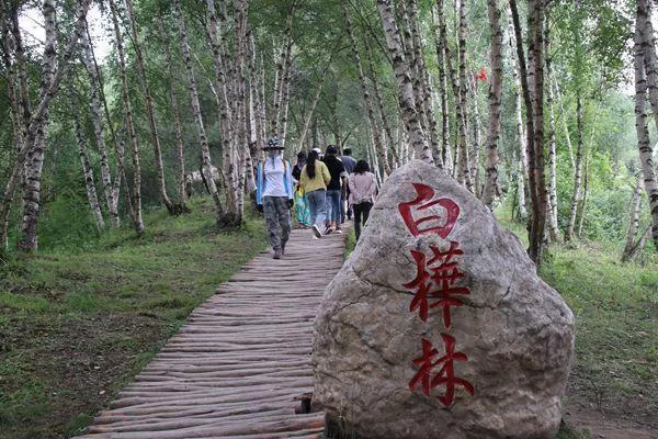 康樂縣白樺林冰雪世界免費(fèi)到什么時候?日常門票價格介紹