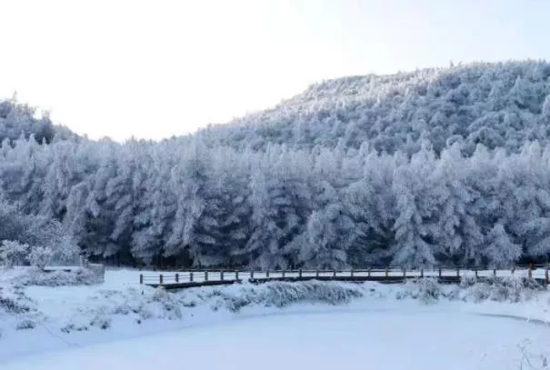 2022重慶茅草壩滑雪場攻略 門票價格和地址交通指南