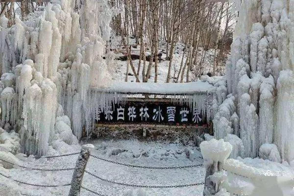 康樂縣白樺林冰雪世界免費(fèi)到什么時候?日常門票價格介紹