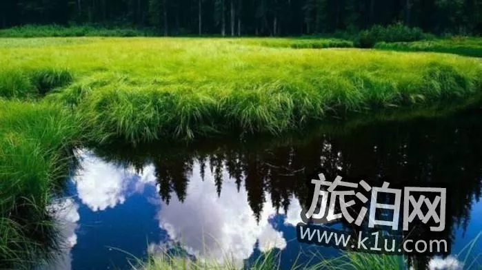 馬踏湖金絲鴨蛋的特點(diǎn) 馬踏湖<a href='http://m.hzqwhg.com/' target=_blank>旅游攻略</a>