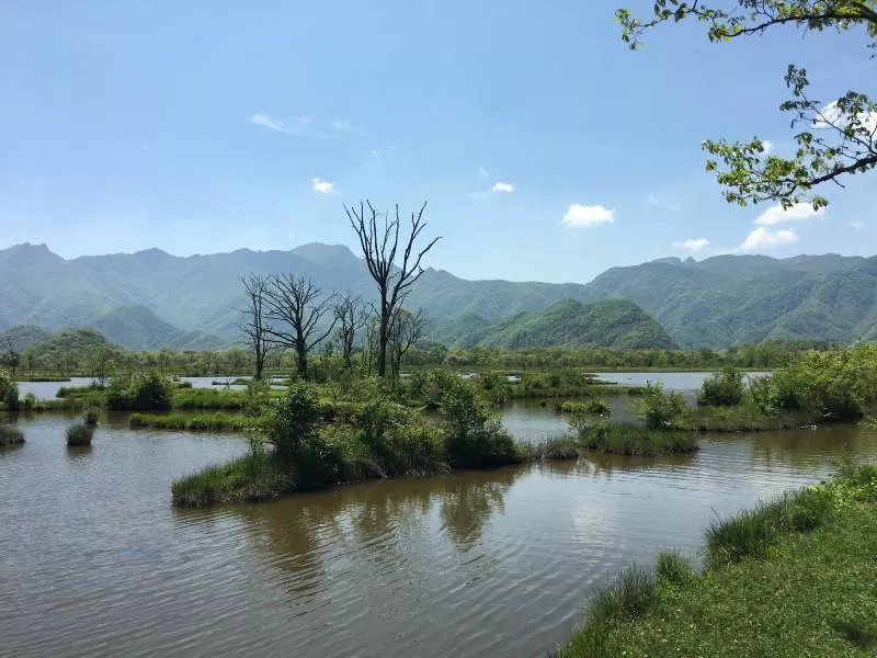 神農(nóng)架有什么好玩的地方 神農(nóng)架有野人嗎