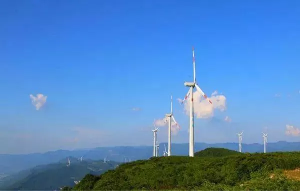 武隆區(qū)春游踏青好去處推薦 賞花、摘草莓等玩法都有哦